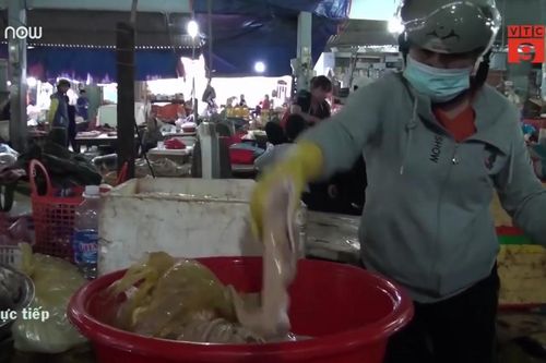 Clip: Kinh hãi thịt, nội tạng thối được gian thương tuồn ra thị trường