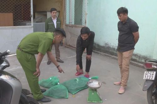 Liên tiếp phát hiện các vụ mua bán động vật hoang dã