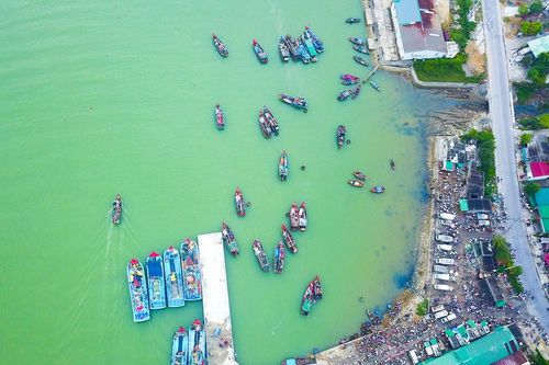 'Gỡ thẻ vàng' châu Âu, đưa hải sản vươn ra thế giới