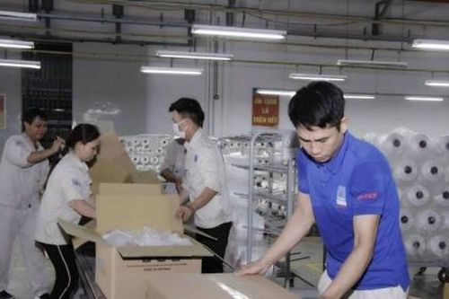 Nhà máy sản xuất Xơ sợi Đình Vũ nâng công suất lên 10 dây chuyền sản xuất sợi DTY