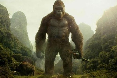 Mang 'vương quốc hang động' Quảng Bình 'chào hàng' ở Hollywood