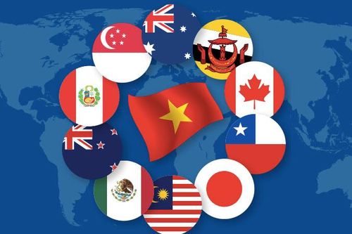 519 dòng thuế xuất khẩu dự kiến được ưu đãi trong biểu thuế ưu đãi thực hiện CPTPP