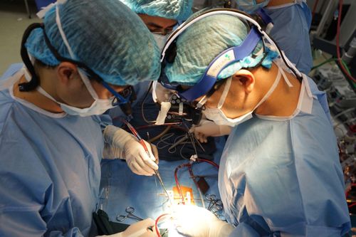Cứu sống bé trai 10 tuổi bị vi khuẩn 'ăn' mòn van tim