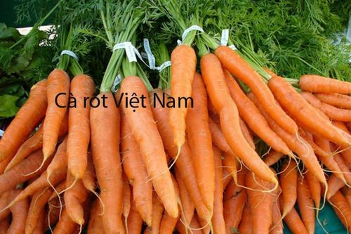 Nhận biết nhanh 8 loại rau, củ Trung Quốc giả mạo hàng Việt bán dịp Tết