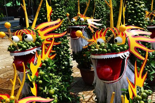Trái, cây cảnh độc lạ chưng Tết ở Sài Gòn