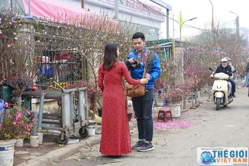 Dạo chợ hoa Tây Hồ Tết Kỷ Hợi