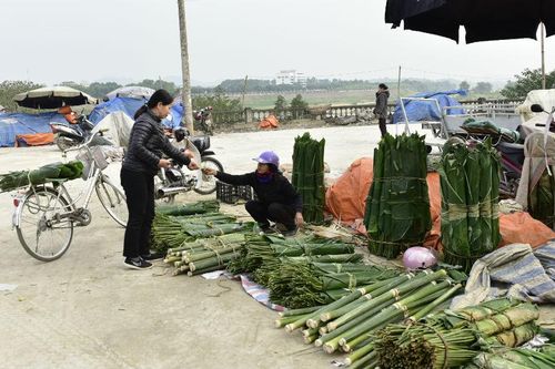 Nơi được mệnh danh 'vựa' lá dong cả nước