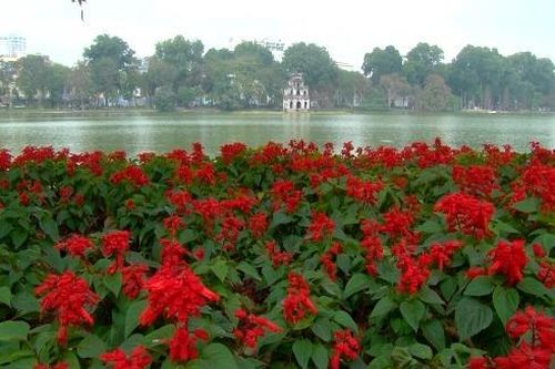 Hà Nội trang hoàng đường phố đón Tết