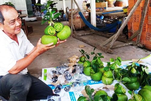 1,3 triệu đồng mỗi trái bưởi hồ lô in chữ thư pháp