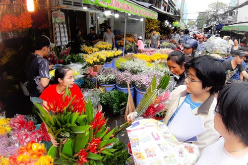 Nhộn nhịp chợ hoa lớn nhất TP Hồ Chí Minh những ngày giáp Tết