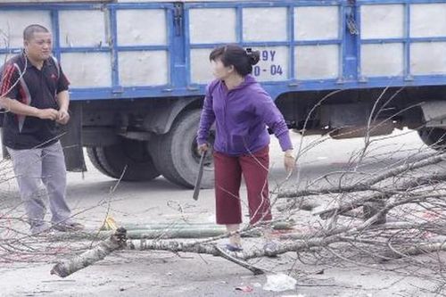 Xót xa cảnh đào, quất bị chặt, đập la liệt trên vỉa hè