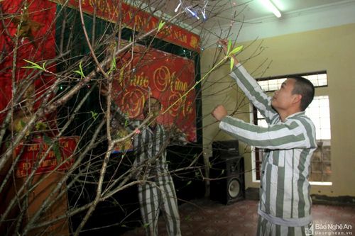 Tết 'đoàn viên' trong Trại tạm giam