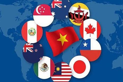 CPTPP, đường đã thông…