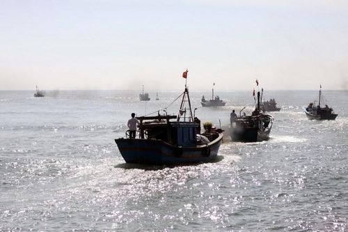 Quảng Nam: Hàng trăm tổ đội tàu thuyền ra quân đánh bắt thủy sản