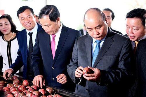 Xuất khẩu nông lâm thủy sản hướng đến 43 tỷ USD