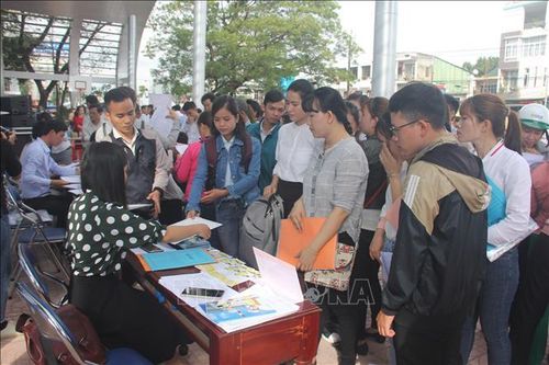 Tuyển dụng trên 16.000 lao động dịp đầu Xuân Kỷ Hợi 2019