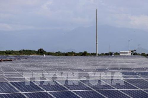 Tập đoàn Hưng Hải đầu tư trên 12.000 tỷ đồng vào dự án điện mặt trời