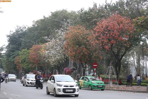 Chùm ảnh: Mãn nhãn ngắm Hà Nội đẹp chẳng kém Hàn Quốc mùa thay lá