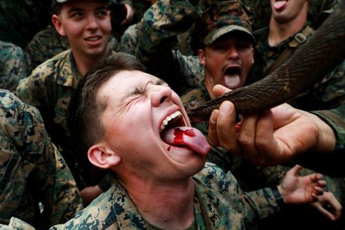 Lính Mỹ uống máu rắn hổ mang, nhai bọ cạp sống để sinh tồn