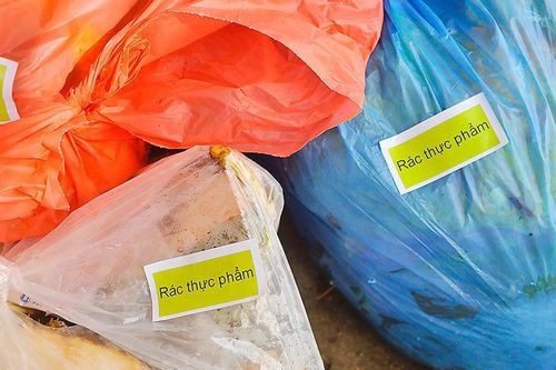 Người thu gom rác giám sát phân loại rác tại nguồn