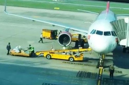 Kỷ luật hai nhân viên ném hành lý của khách ở sân bay Đà Nẵng