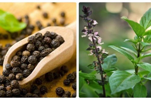 Cách điều trị chảy máu chân răng hiệu quả tại nhà