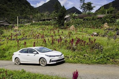 Doanh số bán hàng của Toyota Việt Nam tháng 1/2019 tăng 48% so với cùng kì 2018