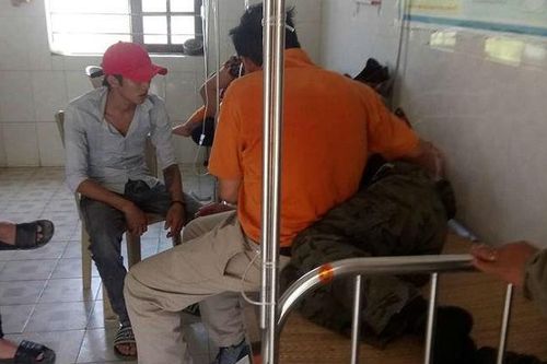 Đi thắp nhang ngày rằm, 2 cán bộ xã và hàng chục người bị ong đốt