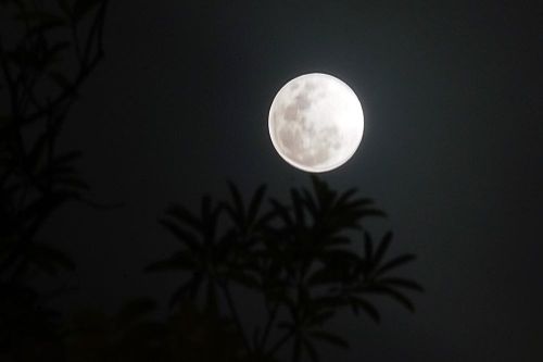 Vì sao đêm qua không quan sát được siêu trăng ở Hà Nội?