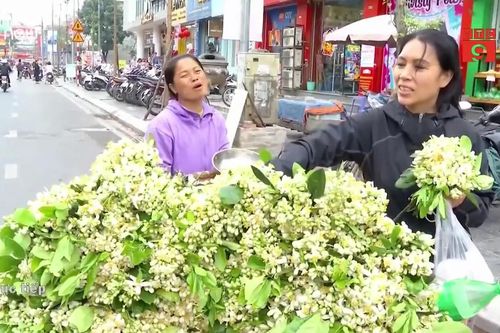 Tiết lộ thu nhập 'khủng' của gánh hàng rong bán hoa bưởi