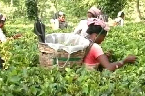 Uống rượu không rõ nguồn gốc, ít nhất 17 nông dân Ấn Độ tử vong