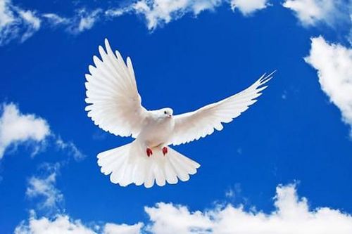 Thành phố vì hòa bình trở thành tâm điểm của thế giới, nơi đối thoại và hòa giải xung đột