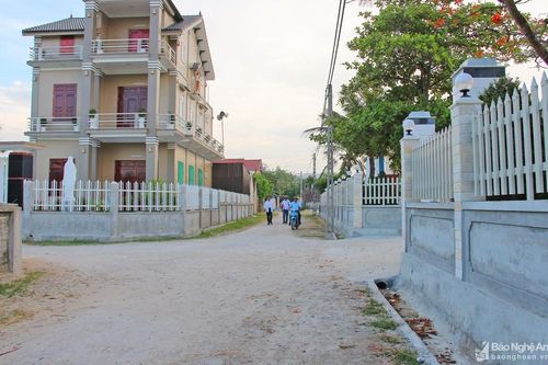 Những cựu binh vùng giáo đi đầu phong trào xây dựng nông thôn mới