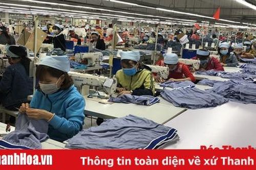 Xây dựng tổ chức công đoàn vững mạnh trong các doanh nghiệp