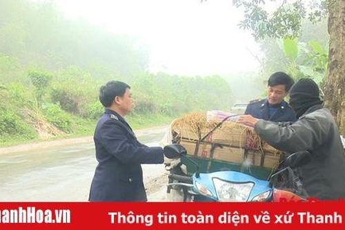 Lang Chánh tăng cường công tác phòng, chống dịch tả lợn Châu Phi