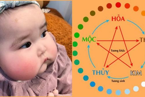 12 con giáp nên sinh mấy con là tốt nhất?