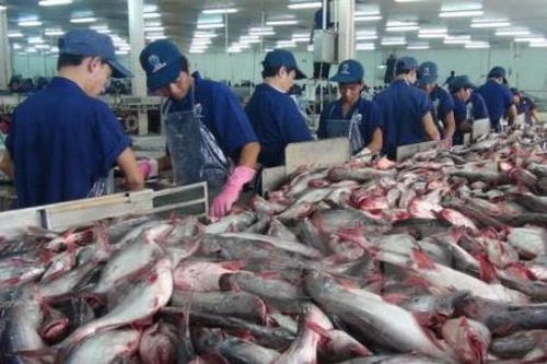 Bứt phá cho xuất khẩu cá tra - Bài 1: Lần đầu vượt mốc 2 tỷ USD
