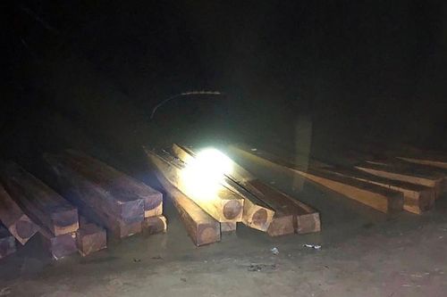 Quảng Nam: Phát hiện vụ vận chuyển gỗ lậu quy mô lớn trên sông Vu Gia