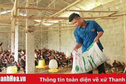 Hợp tác xã Hán - Sơn - Dương , mô hình thanh niên khởi nghiệp từ sức trẻ