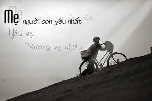 Những lời chúc 8/3 ý nghĩa dành tặng mẹ và một nửa yêu thương