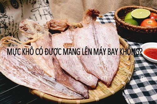 Mực khô có được mang lên máy bay không?