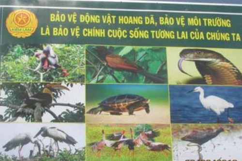 Quay về với đời từ đường dây nóng