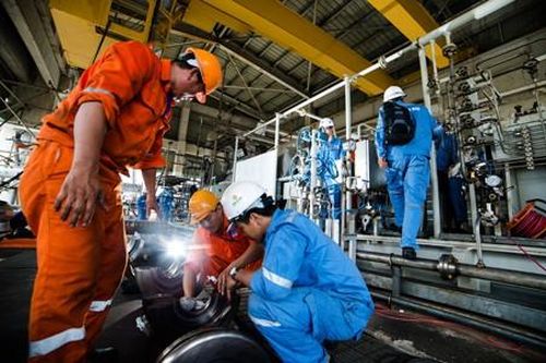 Đạm Cà Mau - 8 năm một chặng đường không ngừng sáng tạo để phát triển