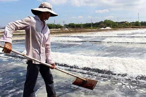 Hoang phế dự án kho dự trữ muối