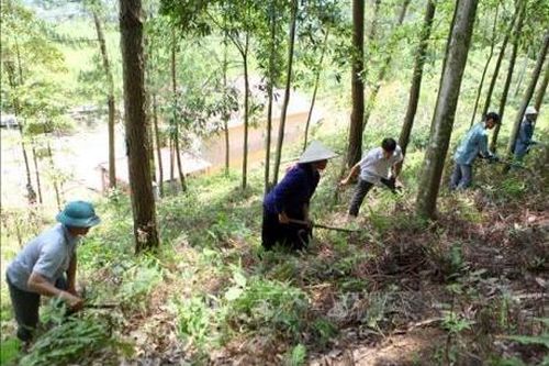 Dự báo mùa khô năm 2019 ở Kon Tum sẽ khắc nghiệt