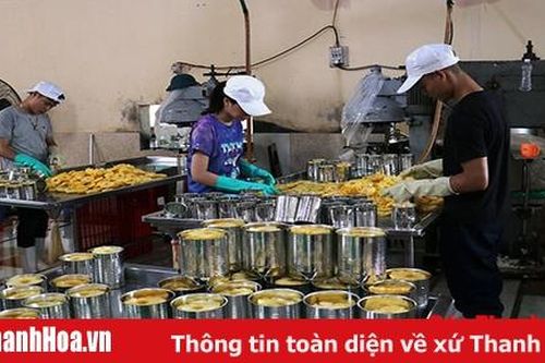 Đẩy mạnh thu hút đầu tư vào công nghiệp chế biến nông - lâm - thủy sản