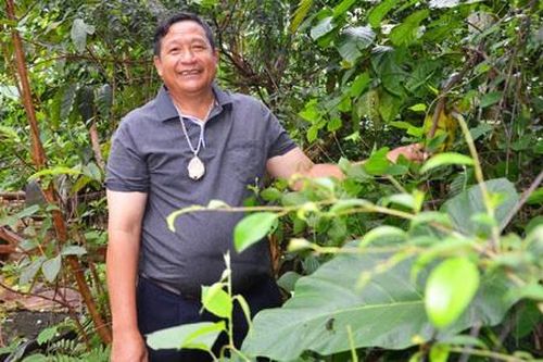 Bi hài cuộc chiến chống Ama Kông giả: Nguồn gốc bài thuốc bí truyền nổi tiếng