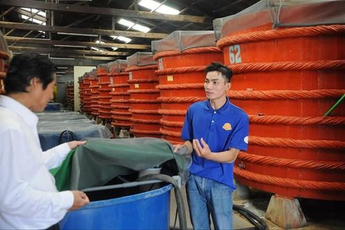 Dự thảo tiêu chuẩn quốc gia về nước mắm: Lo ngại tái diễn kịch bản 'nhiễm asen'?
