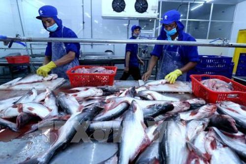 Giá trị xuất khẩu thủy sản tăng 4,4%