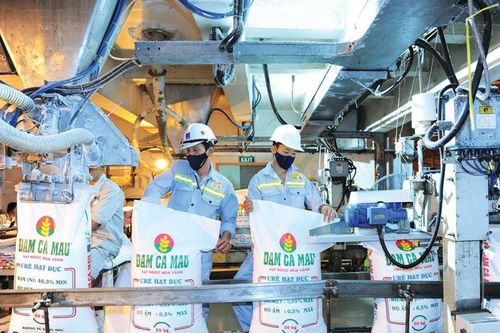 Đạm Cà Mau: Hành trình 8 năm không ngừng sáng tạo